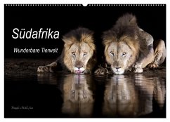 Südafrika wunderbare Tierwelt (Wandkalender 2025 DIN A2 quer), CALVENDO Monatskalender