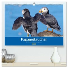 Papageitaucher - Clowns der nordischen Vogelwelt (hochwertiger Premium Wandkalender 2025 DIN A2 quer), Kunstdruck in Hochglanz