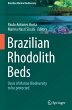 Brazilian Rhodolith Beds - Bild 1