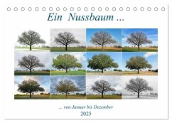 Ein Nussbaum von Januar bis Dezember (Tischkalender 2025 DIN A5 quer), CALVENDO Monatskalender - Calvendo;Eppele, Klaus