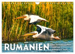 Rumänien - Das beeindruckende Land am Schwarzen Meer. (Wandkalender 2025 DIN A4 quer), CALVENDO Monatskalender