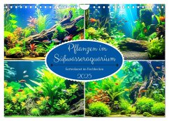 Pflanzen im Süßwasseraquarium. Gartenkunst im Fischbecken (Wandkalender 2025 DIN A4 quer), CALVENDO Monatskalender