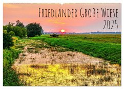 Friedländer Große Wiese (Wandkalender 2025 DIN A2 quer), CALVENDO Monatskalender - Calvendo;Rogalski, Solveig