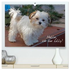 Hallo, ich bin Lilly (hochwertiger Premium Wandkalender 2025 DIN A2 quer), Kunstdruck in Hochglanz
