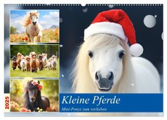 Kleine Pferde. Mini-Ponys zum verlieben (Wandkalender 2025 DIN A2 quer), CALVENDO Monatskalender - Calvendo;Hurley, Rose