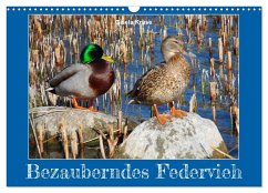 Bezauberndes Federvieh (Wandkalender 2025 DIN A3 quer), CALVENDO Monatskalender - Calvendo;Kruse, Gisela