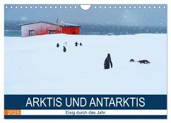 Arktis und Antarktis - Eisig durch das Jahr (Wandkalender 2025 DIN A4 quer), CALVENDO Monatskalender