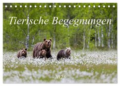 Tierische Begegnungen (Tischkalender 2025 DIN A5 quer), CALVENDO Monatskalender - Calvendo;Beyer (Moqui), Daniela