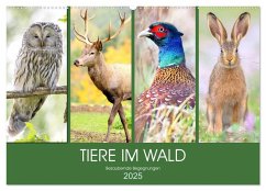 Tiere im Wald. Bezaubernde Begegnungen (Wandkalender 2025 DIN A2 quer), CALVENDO Monatskalender