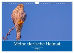 Meine tierische Heimat (Wandkalender 2025 DIN A4 quer), CALVENDO Monatskalender