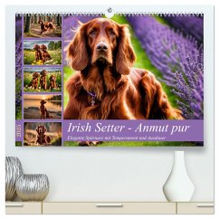 Irish Setter - Anmut pur (hochwertiger Premium Wandkalender 2025 DIN A2 quer), Kunstdruck in Hochglanz
