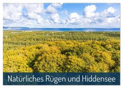 Natürliches Rügen und Hiddensee (Wandkalender 2025 DIN A2 quer), CALVENDO Monatskalender - Calvendo;Burdach, Daniel