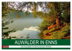 Auwälder bei Enns (Wandkalender 2025 DIN A2 quer), CALVENDO Monatskalender - Calvendo;Simlinger, Wolfgang