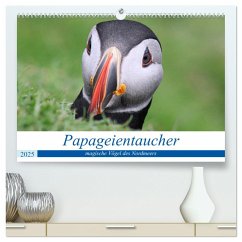 Papageientaucher 2025 - Magische Vögel des Nordmeers (hochwertiger Premium Wandkalender 2025 DIN A2 quer), Kunstdruck in Hochglanz - Calvendo;been.there.recently