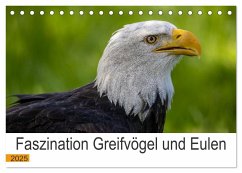 Faszination Greifvögel und Eulen (Tischkalender 2025 DIN A5 quer), CALVENDO Monatskalender - Calvendo;Weiter, Manuel