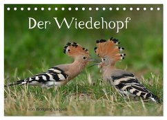 Der Wiedehopf (Tischkalender 2025 DIN A5 quer), CALVENDO Monatskalender - Calvendo;Lequen, Wolfgang