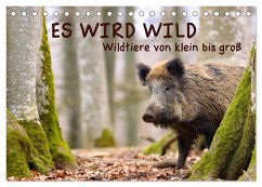 ES WIRD WILD Wildtiere von klein bis groß (Tischkalender 2025 DIN A5 quer), CALVENDO Monatskalender - Calvendo;Merk, Angela