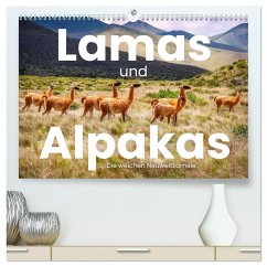 Lamas und Alpakas - Die weichen Neuweltkamele. (hochwertiger Premium Wandkalender 2025 DIN A2 quer), Kunstdruck in Hochglanz