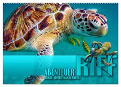 Abenteuer Riff - bunte Unterwasserwelt (Wandkalender 2025 DIN A2 quer), CALVENDO Monatskalender