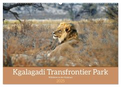 Kgalagadi - Fauna und Wildtiere in der Kalahari (Wandkalender 2025 DIN A2 quer), CALVENDO Monatskalender - Calvendo;Stahl, Dieter