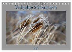 Verblühte Schönheiten (Tischkalender 2025 DIN A5 quer), CALVENDO Monatskalender - Calvendo;Spieß, Petra