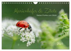 Marienkäfer & Zitate - Sieben Punkte zum Glück (Wandkalender 2025 DIN A4 quer), CALVENDO Monatskalender