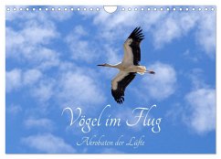 Vögel im Flug - Akrobaten der Lüfte (Wandkalender 2025 DIN A4 quer), CALVENDO Monatskalender