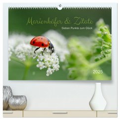 Marienkäfer & Zitate - Sieben Punkte zum Glück (hochwertiger Premium Wandkalender 2025 DIN A2 quer), Kunstdruck in Hochglanz