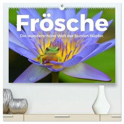 Frösche - Die wunderschöne Welt der bunten Hüpfer. (hochwertiger Premium Wandkalender 2025 DIN A2 quer), Kunstdruck in Hochglanz