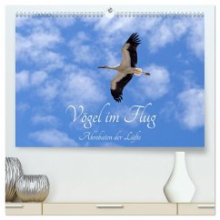Vögel im Flug - Akrobaten der Lüfte (hochwertiger Premium Wandkalender 2025 DIN A2 quer), Kunstdruck in Hochglanz