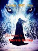 The Secret in Morris Valley (eBook, ePUB)