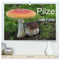 Pilze - tolle Funde (hochwertiger Premium Wandkalender 2025 DIN A2 quer), Kunstdruck in Hochglanz - Calvendo;Bindig, Rudolf