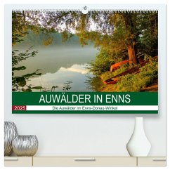 Auwälder bei Enns (hochwertiger Premium Wandkalender 2025 DIN A2 quer), Kunstdruck in Hochglanz