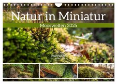 Natur in Miniatur - Mooswelten (Wandkalender 2025 DIN A4 quer), CALVENDO Monatskalender