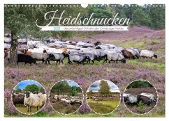 Heidschnucken, die prächtigen Schafe der Lüneburger Heide (Wandkalender 2025 DIN A3 quer), CALVENDO Monatskalender