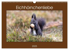 Eichhörnchenliebe (Wandkalender 2025 DIN A3 quer), CALVENDO Monatskalender