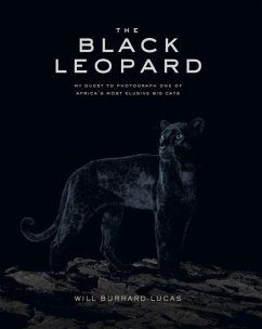 Cover The Black Leopard