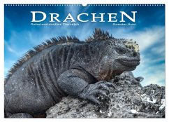 Drachen: Geheimnisvolles Tierreich (Wandkalender 2025 DIN A2 quer), CALVENDO Monatskalender