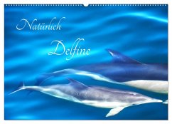 Natürlich Delfine (Wandkalender 2025 DIN A2 quer), CALVENDO Monatskalender