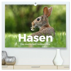 Hasen - Die niedlichen Hoppeltiere. (hochwertiger Premium Wandkalender 2025 DIN A2 quer), Kunstdruck in Hochglanz