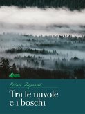 Tra le nuvole e i boschi (eBook, ePUB)