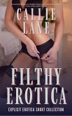 Filthy Erotica (eBook, ePUB)