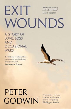 Exit Wounds - Godwin, Peter