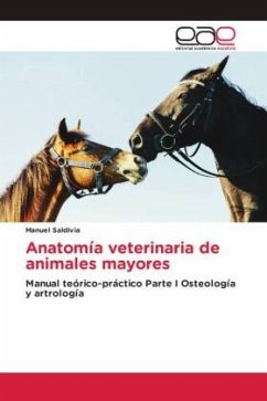 Anatomía veterinaria de animales mayores - Saldivia, Manuel