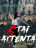 Stai attenta (eBook, ePUB)