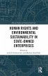 Human Rights and Environmental... - Bild 1