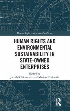 Human Rights and Environmental Sustainability in State-Owned Enterprises