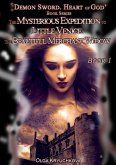 Book 1. The Mysterious Expedition to Little Venice. The Beautiful Merchant Widow (Demon Sword. Heart of God, #1) (eBook, ePUB)