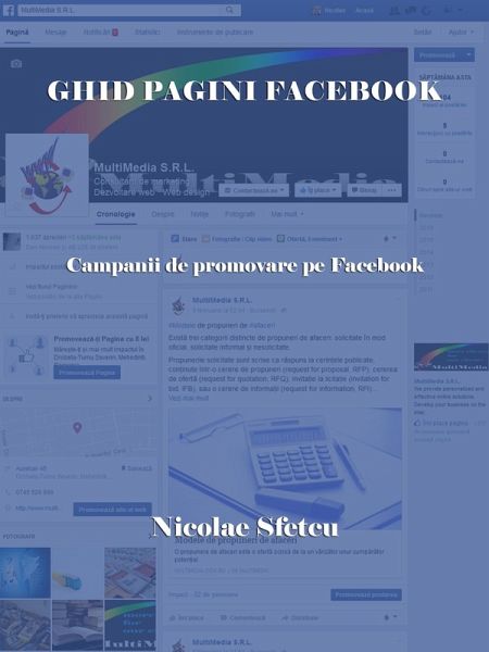 Ghid pagini Facebook - Campanii de promovare pe Facebook (eBook, ePUB) Ghid pagini Facebook - Campanii de promovare pe Facebook (eBook, ePUB)