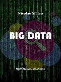 Big Data (eBook, ePUB)